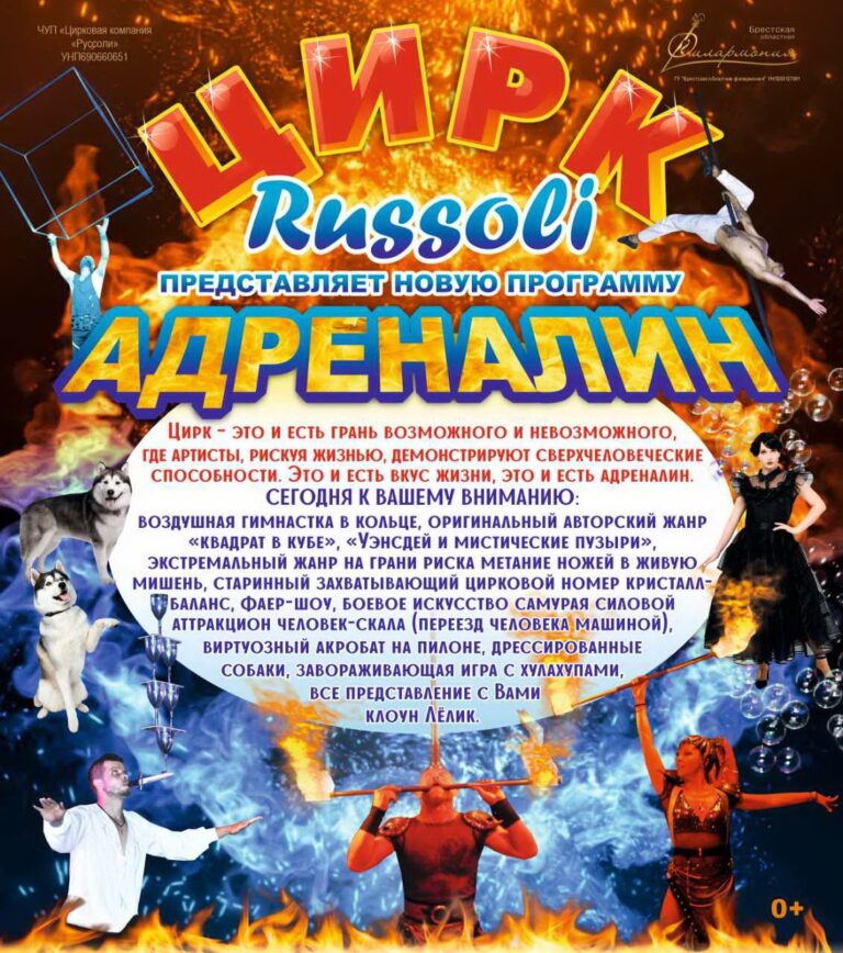 Все в цирк!